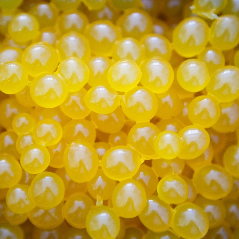 Photo 1 Caviar de Mango
